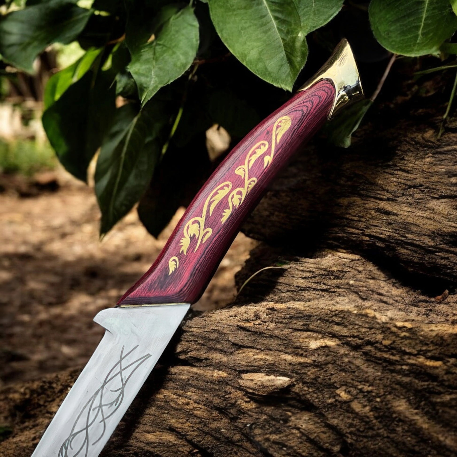 Arwen's Hadhafang sword replica from The Lord of the Rings featuring an elegant Elven-style blade with a display plaque.